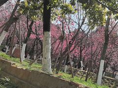 -昆明动物园
