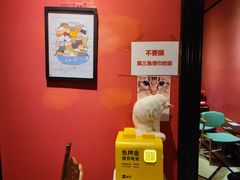 -猫色咖啡·猫咖