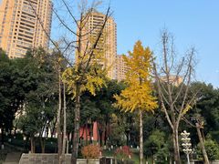 -重庆市江北嘴中央商务区中央公园