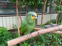 -南宫五洲植物乐园