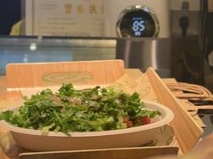 -油梨树 AVOCADO TREE(亮马桥店)