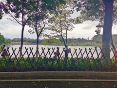 -东莞植物园