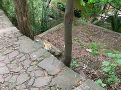 -雨花胜境