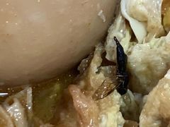 -凤张螺蛳粉·爽口粉(跃进路总店)