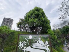 -重庆彩云湖湿地公园