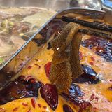 DDK很火爆的社区火锅