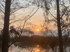 -白鹭湾湿地公园