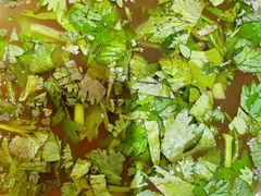 -毅祥斋老孙家泡馍(西羊市店)