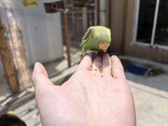 -成都欢乐谷