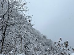 -太阳湾风景区