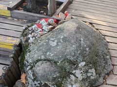 -五女峰国家森林公园