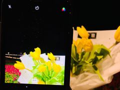 -卡普里披萨·牛扒·下午茶