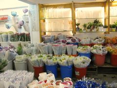 -溪岸路花鸟市场