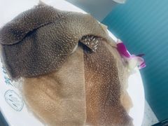 -芳竹园火锅(塘沽金街店)