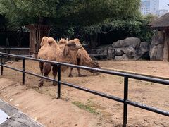 -南昌动物园