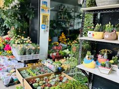 -溪岸路花鸟市场