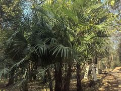 -合肥野生动物园