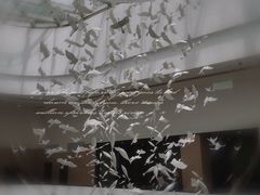 -中国湿地博物馆