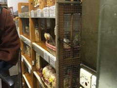 -玛嘉烈蛋挞(金利来大厦店)