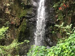 -马峦山郊野公园