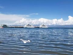 -青海湖国家重点风景名胜区