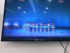 -中央芭蕾舞团·中芭艺蕾(酒仙桥明星校区)