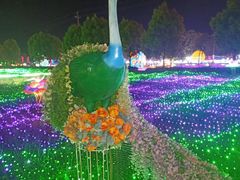 -广东花都香草世界旅游度假区