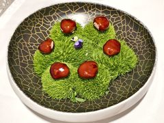 -鹿园 MOOSE(长宁店)