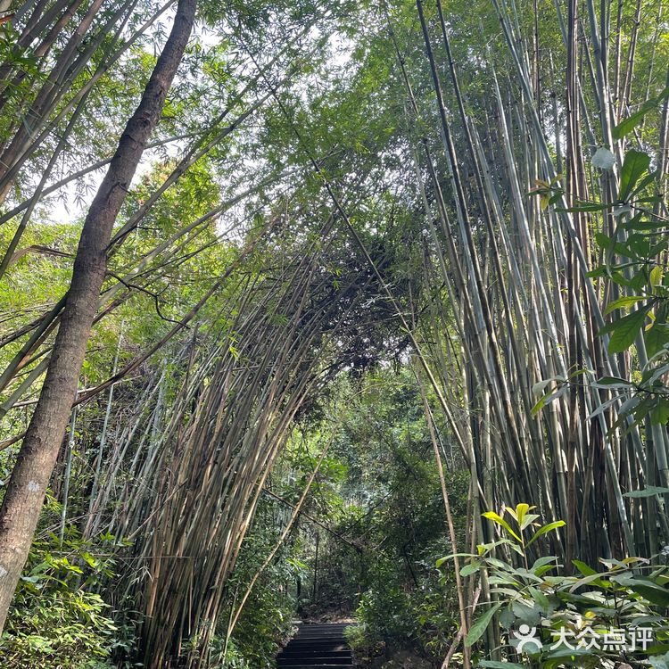广州白云山桑拿之旅