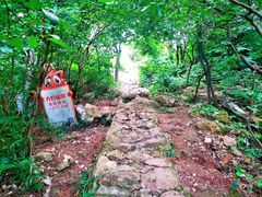 -树山生态村