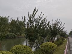 -南翔镇银翔湖公园