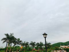 -美的鹭湖森林度假区