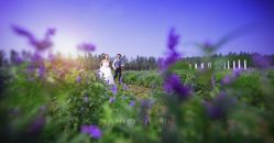 -太古映画婚纱摄影(天河店)