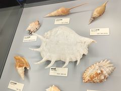 -天津古林古海岸遗迹博物馆