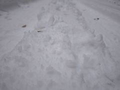 -洛阳花果山景区