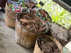 -大象粑粑造纸公园