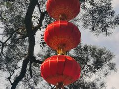 -广州市白云山风景名胜区