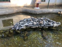 -红螺寺