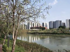 -广东花都湖国家湿地公园