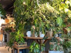 -自由生长植物工作室(深港花卉中心店)