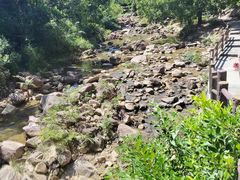 -广州白江湖森林公园