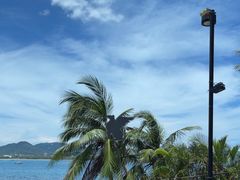 -雾山韩式烤肉·海南糟粕&椰子鸡火锅·海景餐厅(三亚绿发山海天JW万豪酒店)