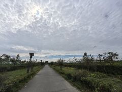 -菊园百果园