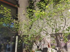-溪岸路花鸟市场