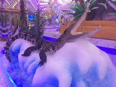 -澜悦港海鲜体验主题餐厅