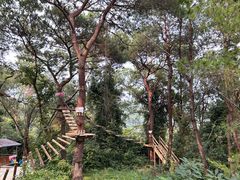 -芦仙山景区-飞越丛林探险乐园