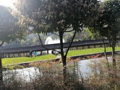 -龙头寺公园