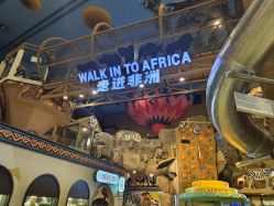 -卡通尼·Safari非洲探索乐园·生日会(金桥国际商业广场店)