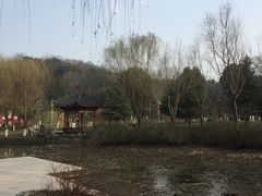 -太子山公园(园东路)