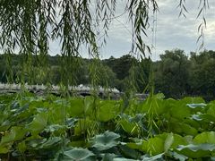 -承德避暑山庄景区